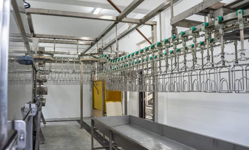 Dominica begins testing at upgraded Layou Park Abattoir | Dominica News DM