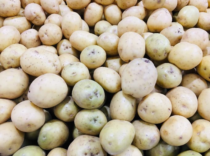 Dominica white potato production to exceed 500,000 Pounds | Dominica News DM