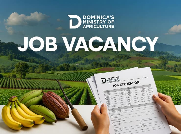 Dominica invites applications for key agriculture roles | Dominica News