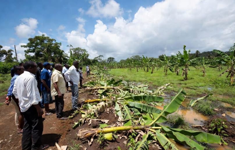 Ministry of Agriculture Holds Meetings for Eastern Farmers