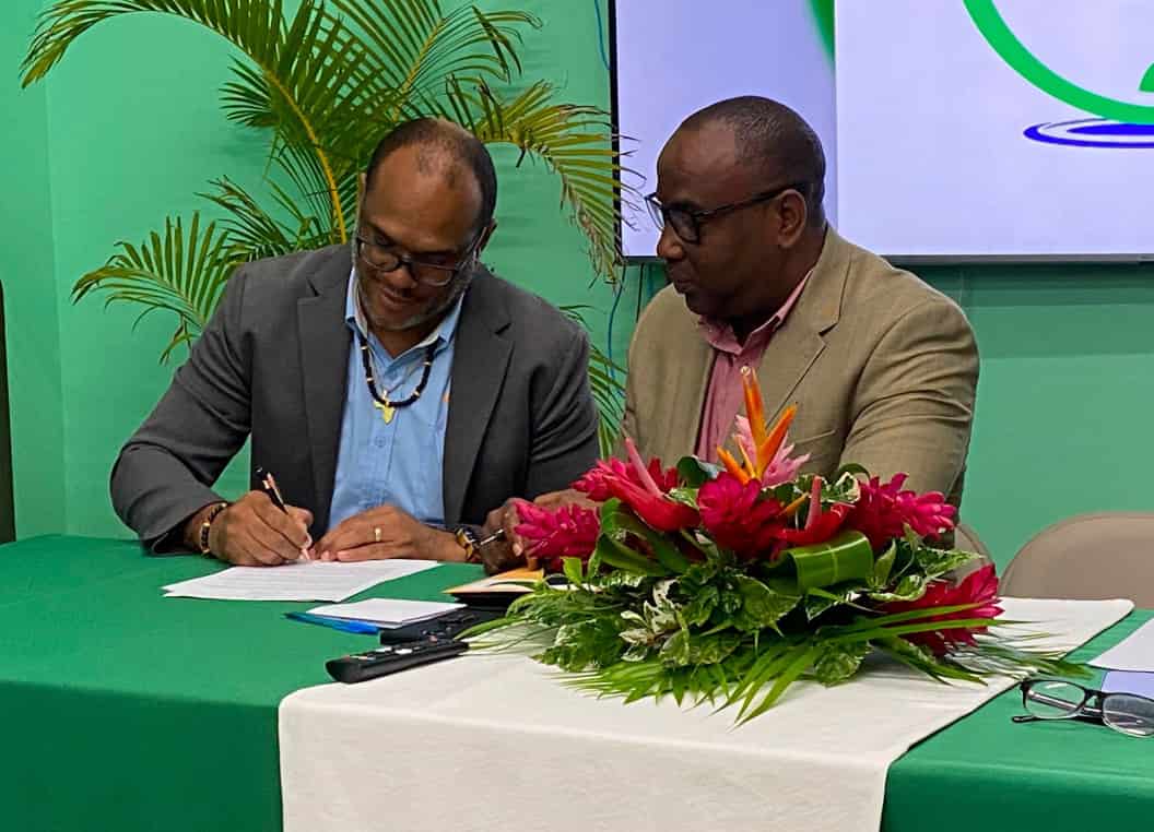 Dominica Secures Funding to Protect Coconut Industry