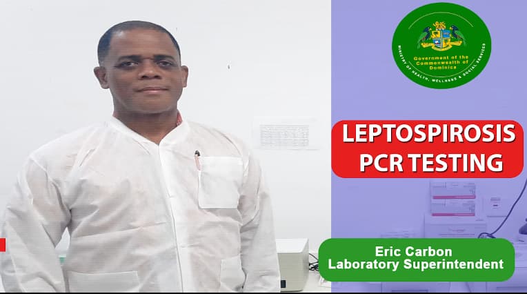 Dominica introduces PCR testing for Leptospirosis