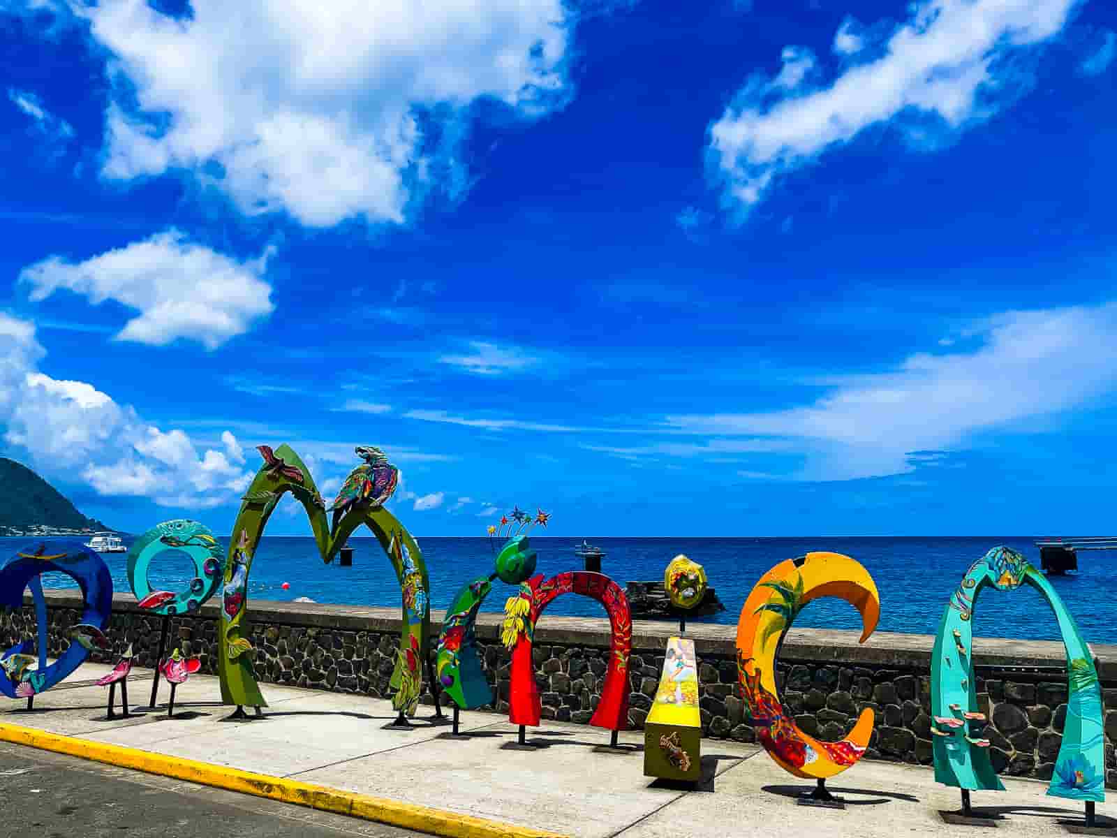 Dominica Launches Inaugural Wellness Fair in Roseau | Dominica News