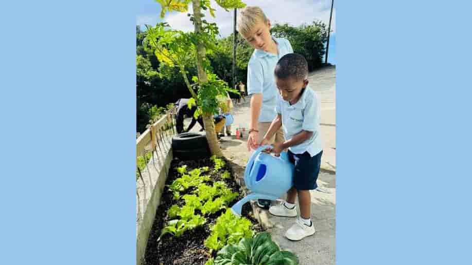 Dominica Schools Join EU-CaN Cultivating Futures Project