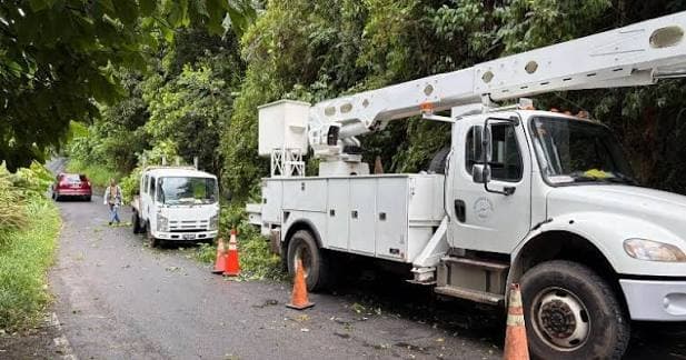 DOMLEC apologises for power outages