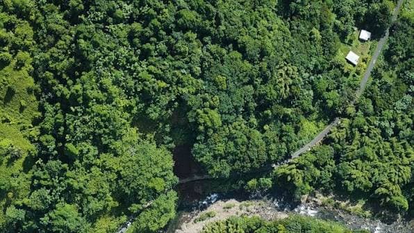 Vegetation Clearing Works Begin on Aux Délices Road
