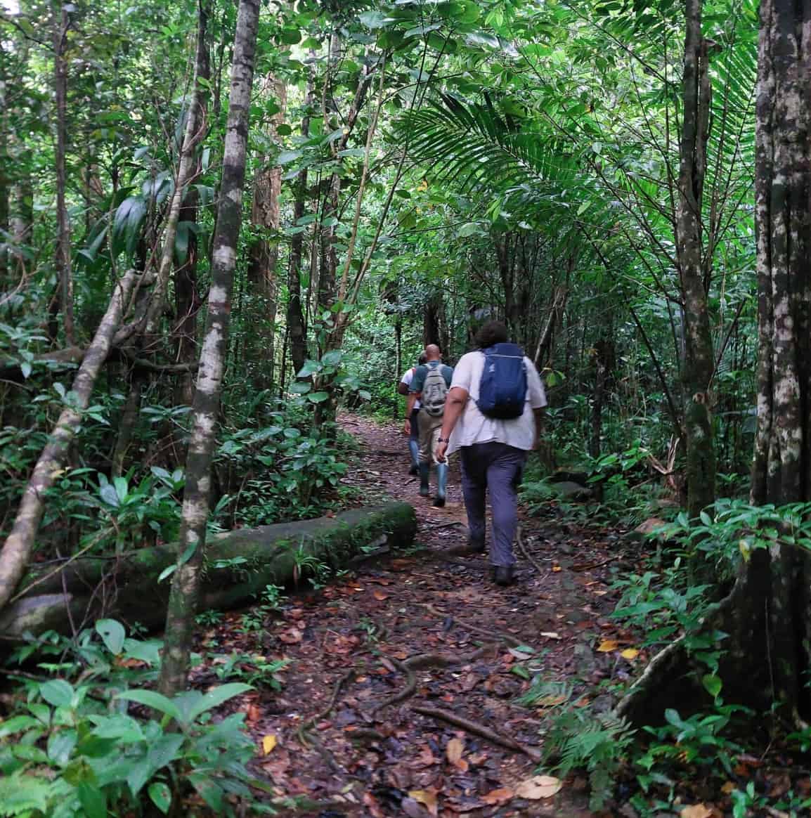 Dominica Hunting Season opens October 1